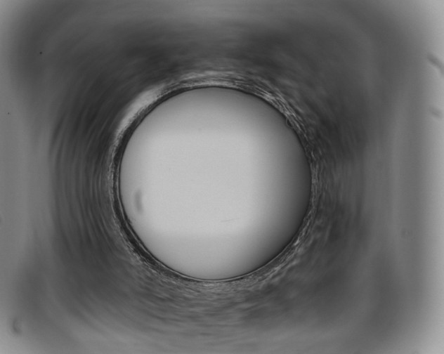 X0000096710006200802051048