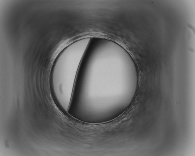 X0000096710007200802051048