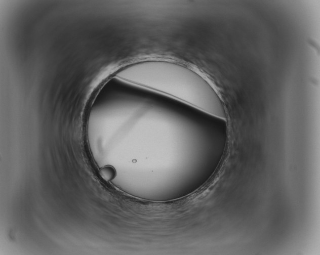 X0000096710008200802051048