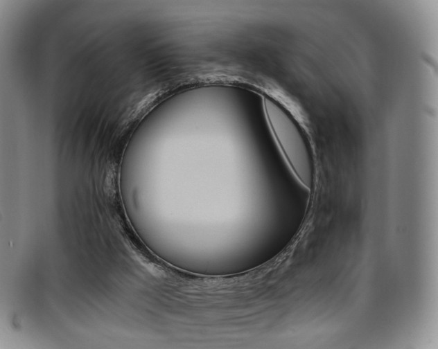 X0000096710009200802051048