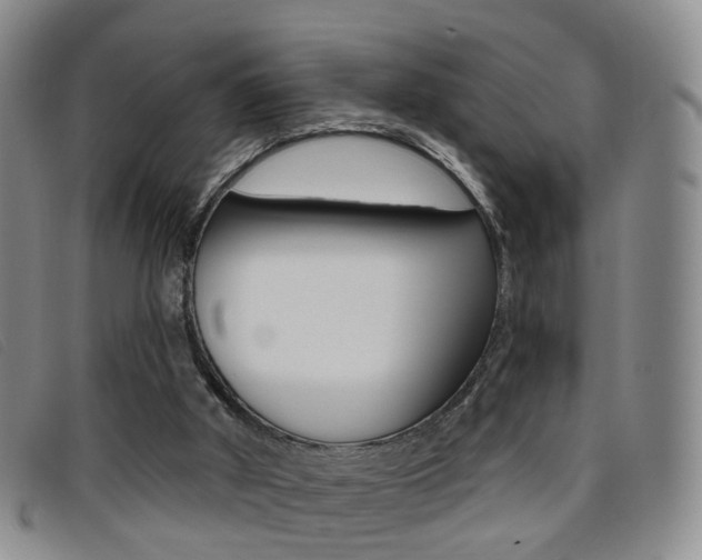 X0000096710010200802051048