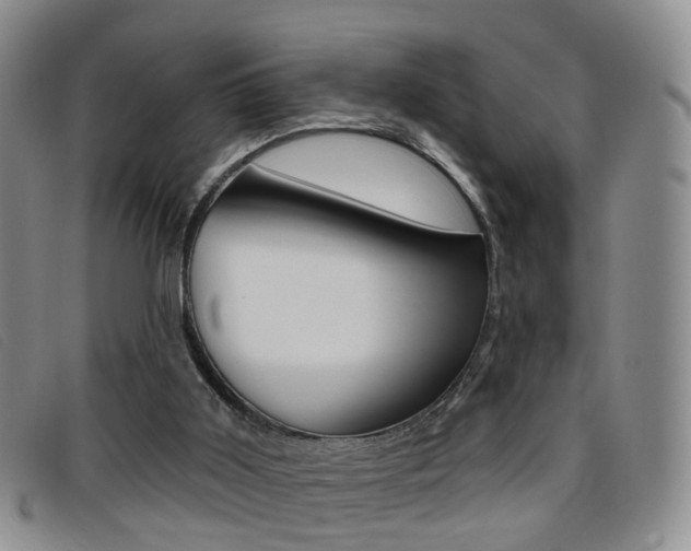 X0000096710011200802051048