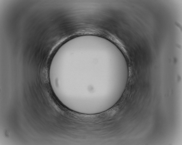 X0000096710012200802051048