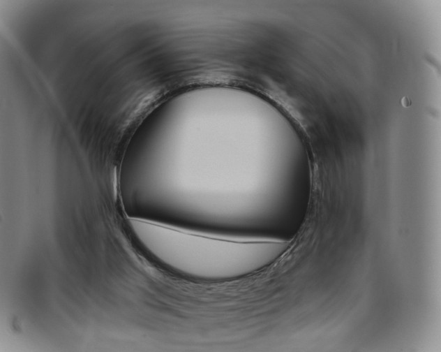 X0000096710013200802051048