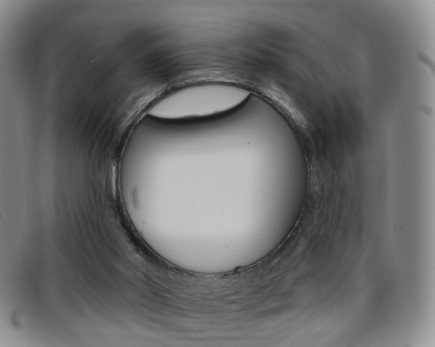 X0000096710014200802051048