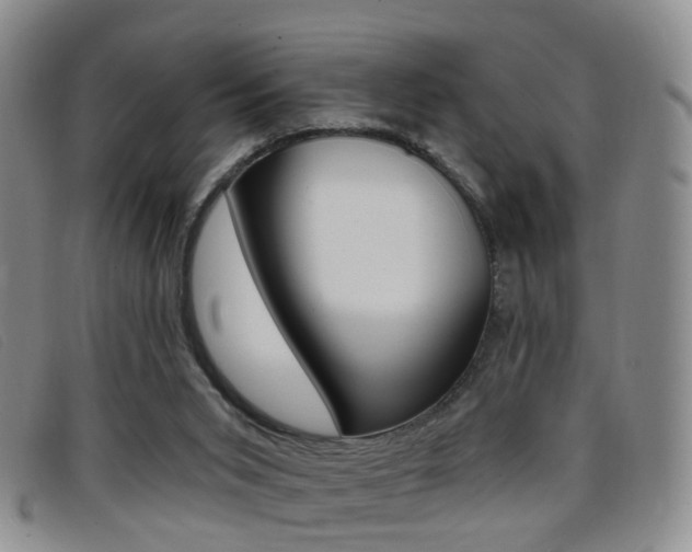 X0000096710015200802051048