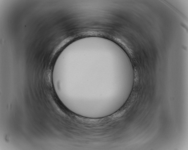 X0000096710016200802051048