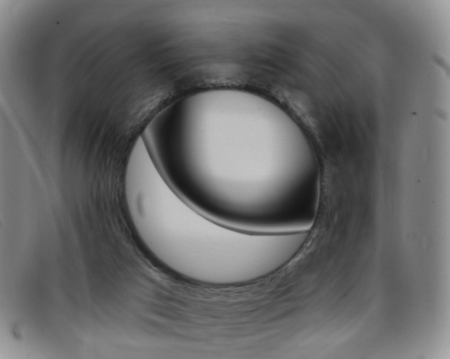 X0000096710017200802051048