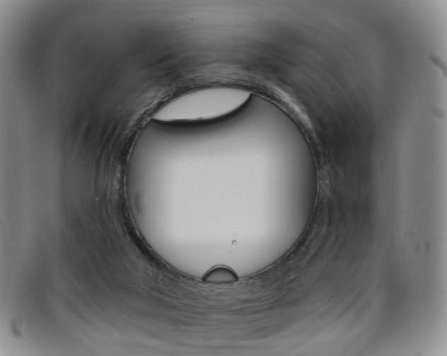 X0000096710018200802051048