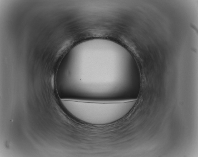 X0000096710019200802051048