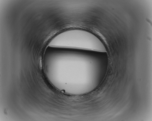 X0000096710020200802051048