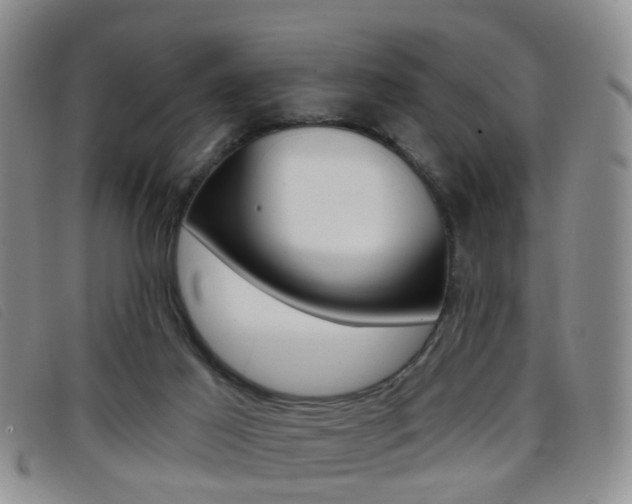 X0000096710021200802051048