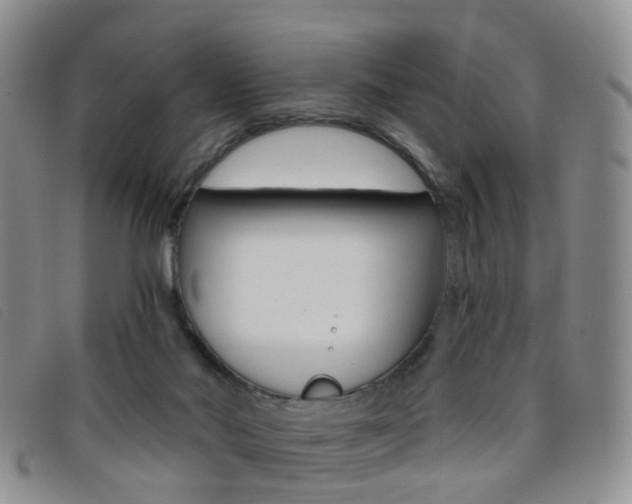 X0000096710022200802051048