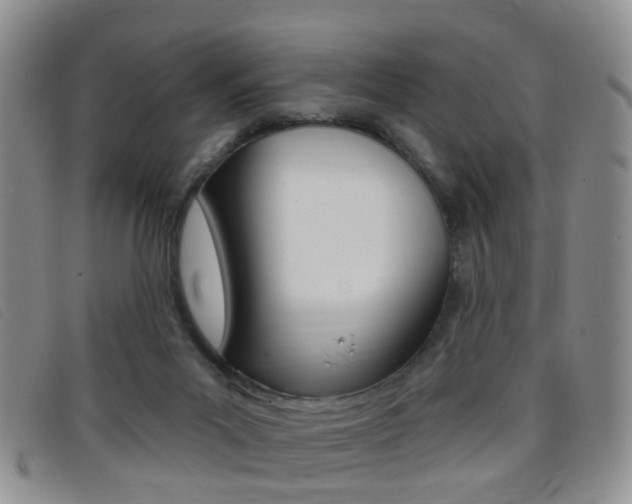 X0000096710023200802051048