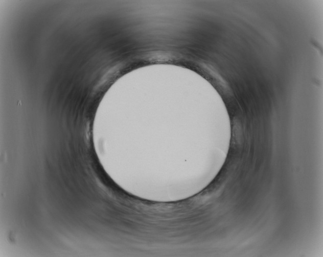 X0000096710024200802051048