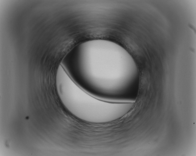 X0000096710025200802051048