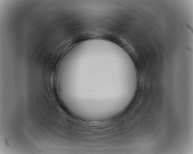 X0000096710026200802051048