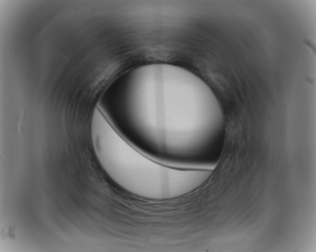 X0000096710027200802051048