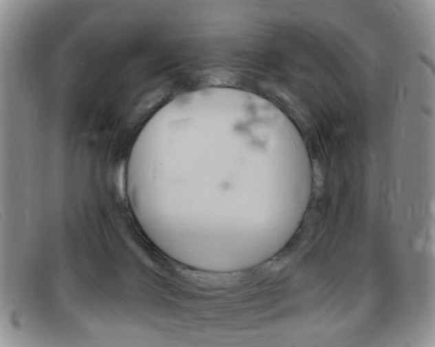 X0000096710028200802051048