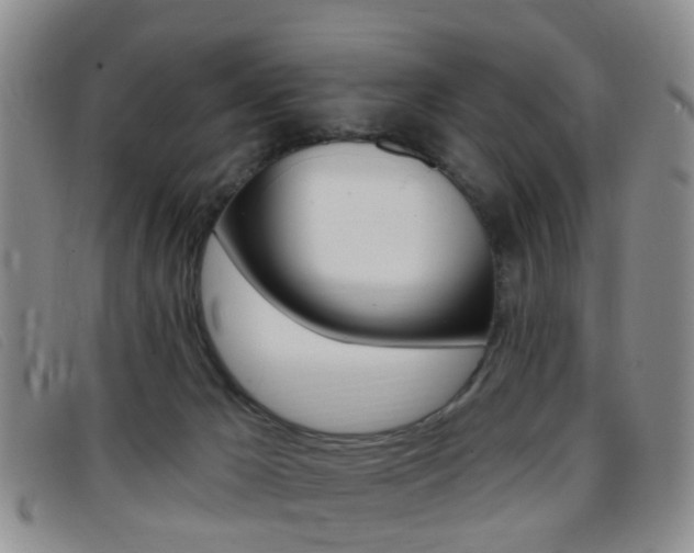 X0000096710029200802051048