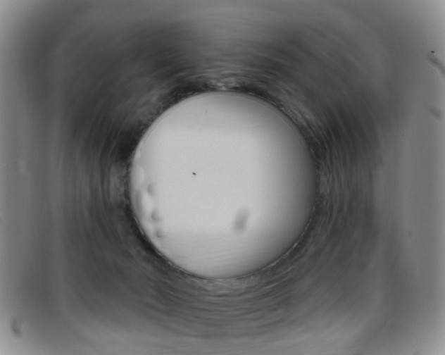 X0000096710030200802051048