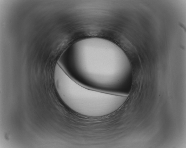 X0000096710031200802051048