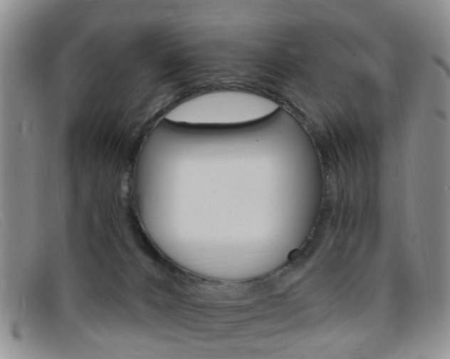 X0000096710032200802051048