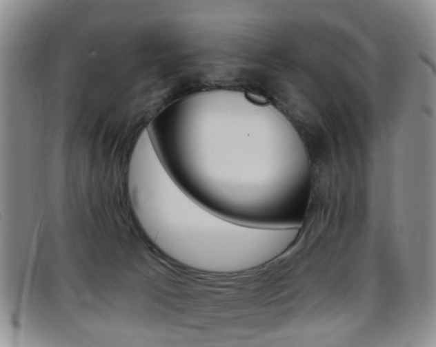 X0000096710033200802051048