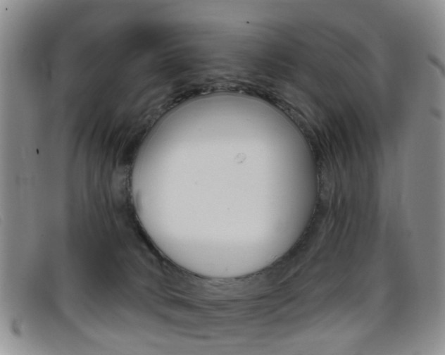 X0000096710034200802051048