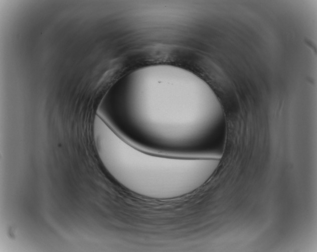 X0000096710035200802051048