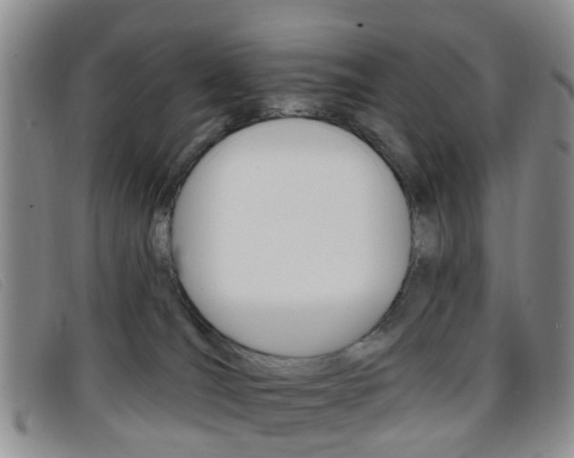 X0000096710036200802051048