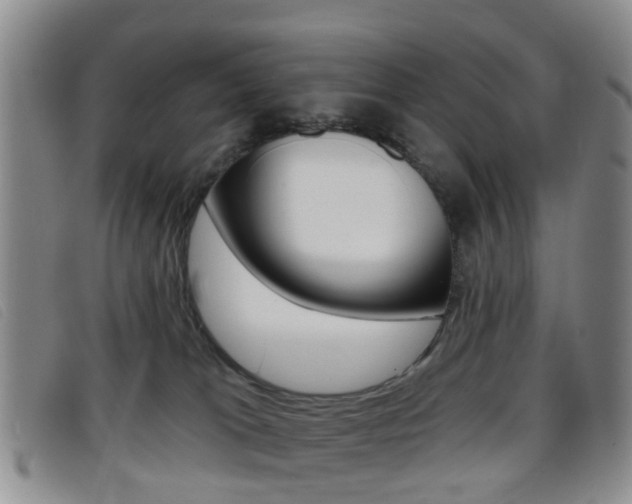 X0000096710037200802051048