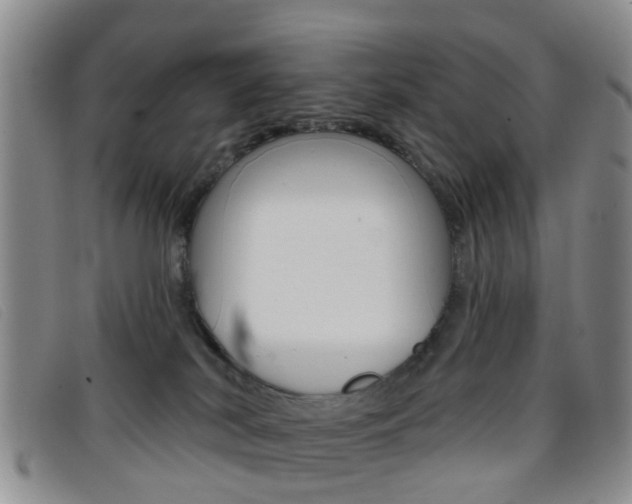 X0000096710038200802051048