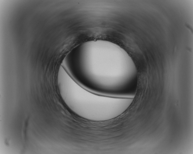 X0000096710039200802051048