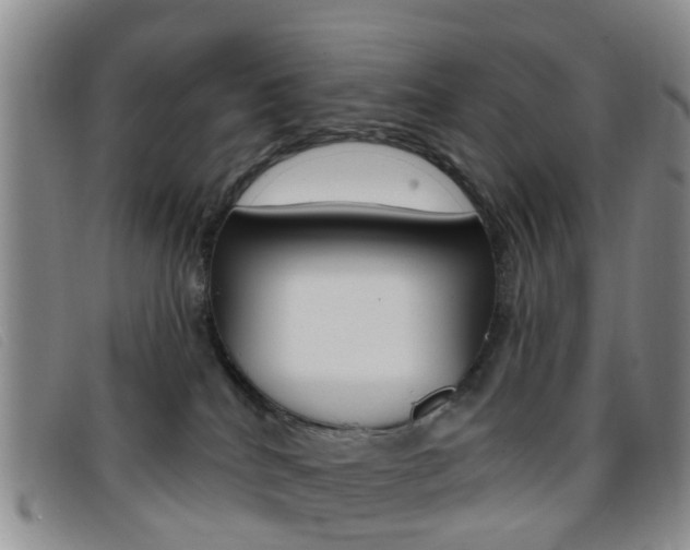 X0000096710040200802051048