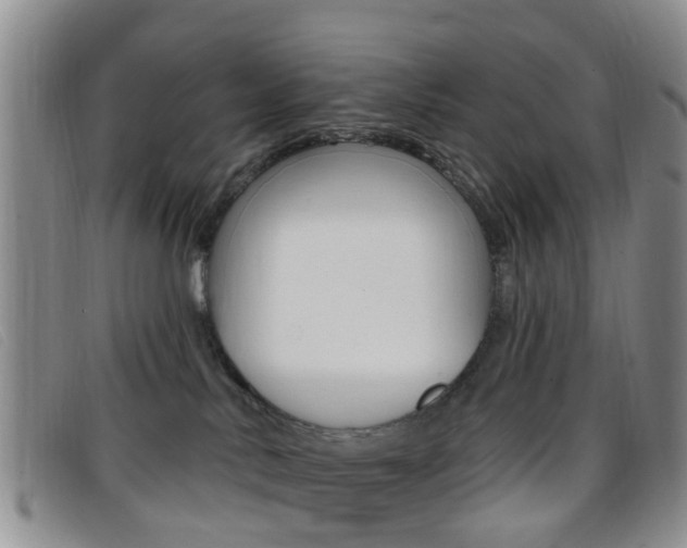 X0000096710042200802051047