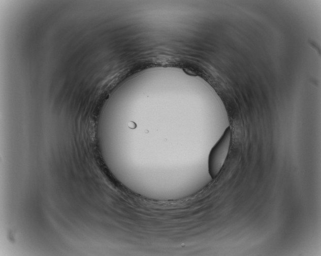 X0000096710043200802051047