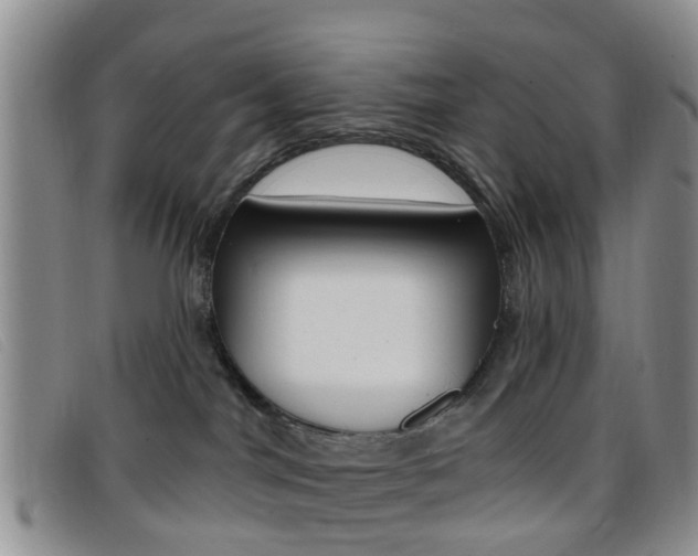 X0000096710044200802051047