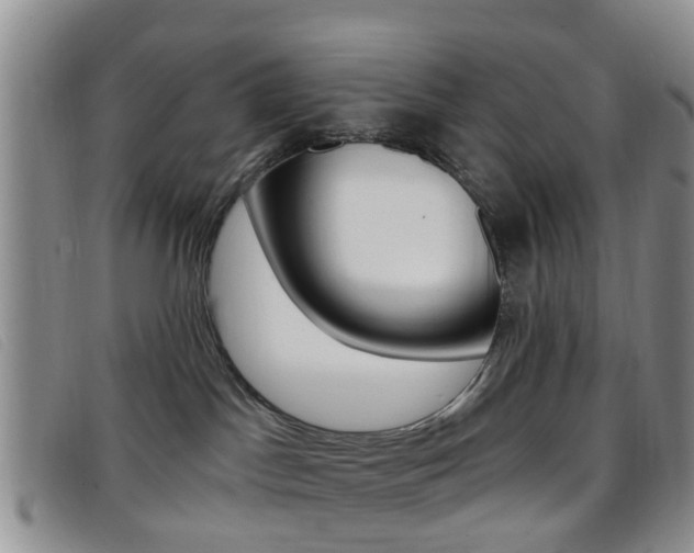 X0000096710045200802051047