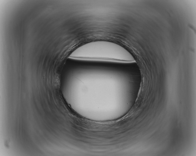 X0000096710048200802051047