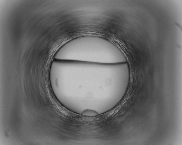 X0000096710049200802051047