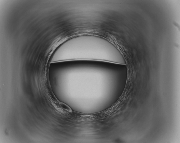 X0000096710050200802051047