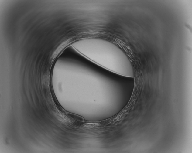 X0000096710051200802051047