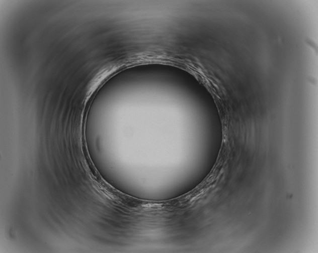 X0000096710052200802051047