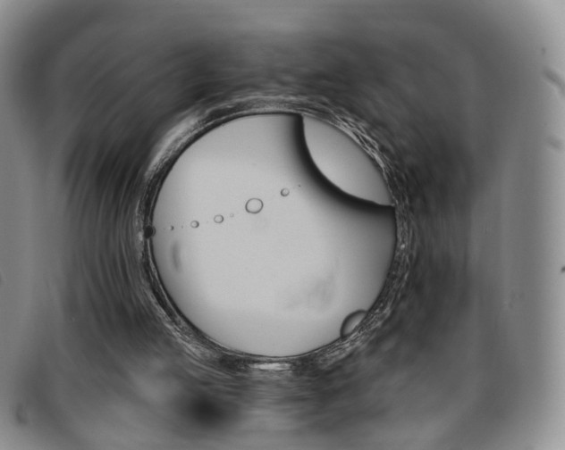 X0000096710053200802051047