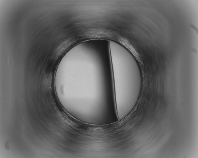 X0000096710058200802051047