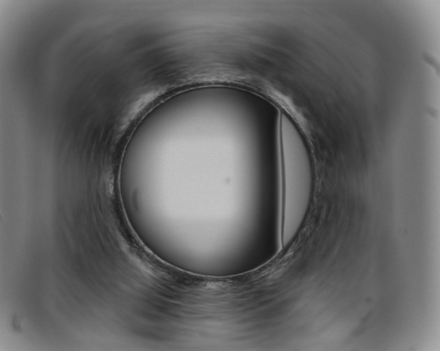 X0000096710060200802051047