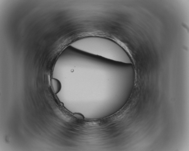 X0000096710061200802051047