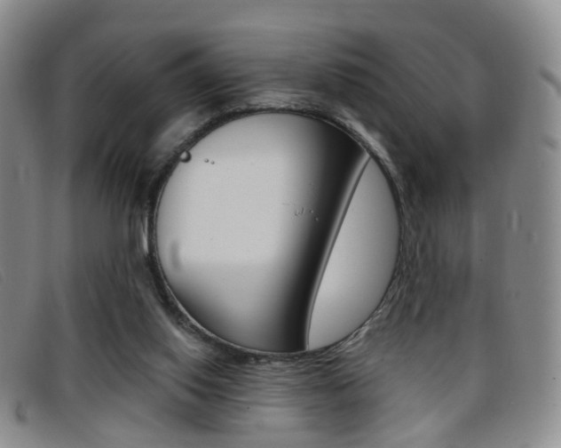 X0000096710062200802051047