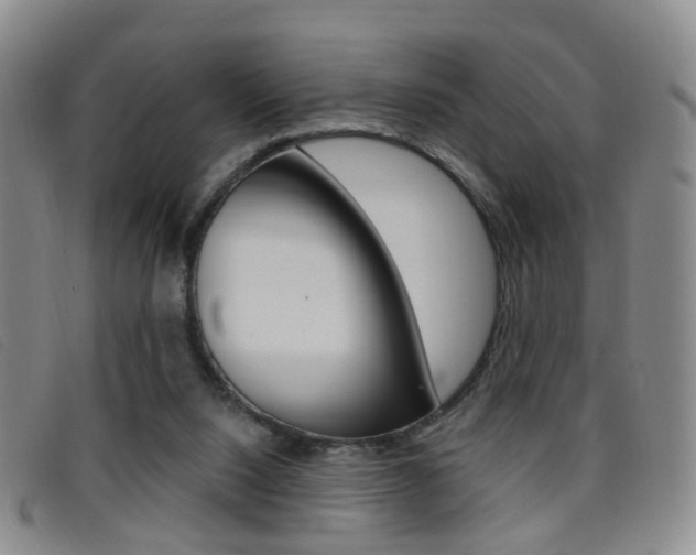 X0000096710064200802051047